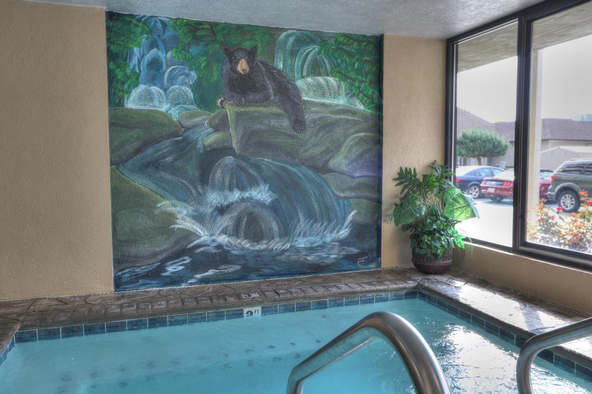 Comfort Inn & Suites At Dollywood Lane Pigeon Forge Εξωτερικό φωτογραφία